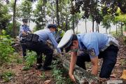 全警動(dòng)員！上海細(xì)化措施應(yīng)對(duì)臺(tái)風(fēng)