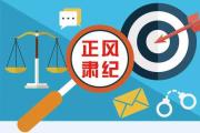 管好頭雁促擔(dān)當(dāng)
