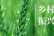 產(chǎn)業(yè)振興是鄉(xiāng)村振興的重中之重