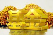 機(jī)構(gòu)自購旗下產(chǎn)品 資金借道ETF積極布局