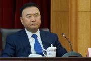 遼寧省公安廳原廳長王大偉被逮捕 搞假結婚欺騙組織 其兩名前任均落馬