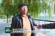 候鳥遷徙過境江蘇 好生態(tài)引來眾鳥棲息