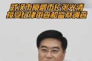 武漢市原副市長(zhǎng)張光清接受紀(jì)律審查和監(jiān)察調(diào)查
