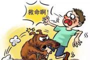 萌寵傷人引發(fā)糾紛，責(zé)任由誰承擔(dān)? 依法依規(guī)加強(qiáng)管理