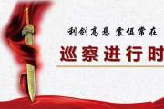 巡察組在行動 | 走過場的驗收