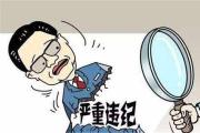 湖北通報(bào)4起糧食購銷領(lǐng)域違紀(jì)違法問題