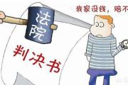 一些罪犯抱有“坐牢不賠錢”想法怎么辦？ 海南法院深化執(zhí)行改革讓財產(chǎn)刑判決不再是“法律白條”