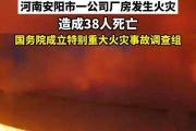 國務院成立河南安陽市凱信達商貿有限公司“11·21”特別重大火災事故調查組
