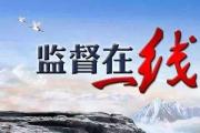 巡察組在行動丨水通潤民心