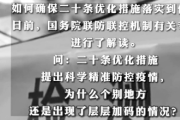 如何確保二十條優(yōu)化措施落實(shí)到位？專家解讀