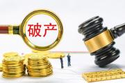 助推破產(chǎn)審判再上新臺階