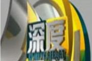 河南女子舉報(bào)“父親被打死”一案宣判 主犯被判無期徒刑