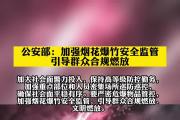 公安部：做好春節(jié)前后維護安全穩(wěn)定工作 確保人民群眾平安過節(jié)