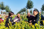 書記談 | 堅(jiān)定履行解決大黨獨(dú)有難題使命責(zé)任