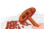 重慶文化產(chǎn)業(yè)投資集團(tuán)有限公司黨委書(shū)記、董事長(zhǎng)陳余莉接受審查調(diào)查
