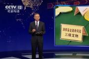 廣西桂林 打擊文物犯罪 守護(hù)文化根脈