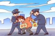 公安機(jī)關(guān)深入推進(jìn)網(wǎng)絡(luò)和數(shù)據(jù)安全保護(hù)工作 構(gòu)建“打防管控”一體化網(wǎng)絡(luò)安全綜合防控體系