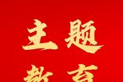 公安部黨委主題教育專題學(xué)習(xí)研討暨理論學(xué)習(xí)中心組學(xué)習(xí)（擴(kuò)大）會(huì)議舉行