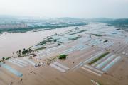 黑龍江遼寧等地昨出現(xiàn)強(qiáng)降雨，今日山東河南等地將有大到暴雨