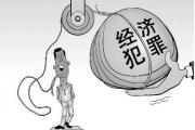 全國公安經(jīng)偵部門“夏季行動”戰(zhàn)果豐碩 發(fā)起全國性跨區(qū)域集群戰(zhàn)役600余起