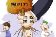 全國公安機關常態(tài)化開展掃黑除惡斗爭推進會召開 