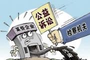 以打促防,繪就生態(tài)“藍圖”——依法打擊破壞環(huán)境資源保護犯罪的刑事檢察履職印記