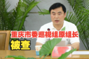 重慶市委巡視組原組長紀(jì)濤被開除黨籍