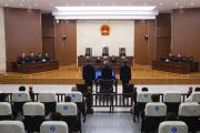 原中國銀行業(yè)監(jiān)督管理委員會黨委委員、副主席蔡鄂生受賄、利用影響力受賄、濫用職權案一審宣判