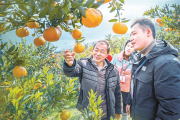 清風(fēng)激蕩潤(rùn)民心