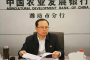 中國(guó)農(nóng)業(yè)發(fā)展銀行總行專家委員會(huì)副主任委員趙富洲被“雙開”