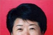 廣東省委第八巡視組原副組長(zhǎng)陳少菲被開除黨籍