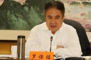 十三屆全國(guó)人大華僑委員會(huì)副主任委員羅保銘接受中央紀(jì)委國(guó)家監(jiān)委紀(jì)律審查和監(jiān)察調(diào)查