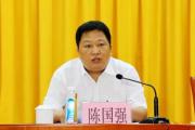 惠州市應(yīng)急管理局原黨組書記、局長陳國強 嚴重違紀違法被開除黨籍和公職
