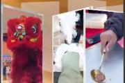 億縷陽光丨趕大集 迎新春