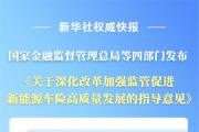 瞄準(zhǔn)投保難題！我國(guó)首個(gè)新能源車險(xiǎn)指導(dǎo)意見(jiàn)出招