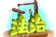 青島:健全制度機制 全鏈條保障提升案件質(zhì)量