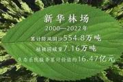 綠水青山間｜沙海中的綠色交響