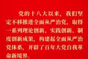 健全全面從嚴(yán)治黨體系，總書(shū)記闡明要旨