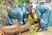 迎風(fēng)冒雨救災(zāi)的各地檢察官