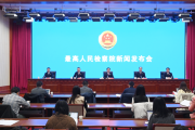 對重大惡性案件掛牌督辦 最高檢：從重從嚴從快懲治“一殺多人”【兩會看政法】