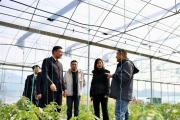 重慶市檢察院第一分院、璧山區(qū)檢察院高效履職促萬畝永久基本農田恢復整改