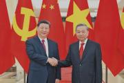 習近平同越共中央總書記蘇林舉行會談