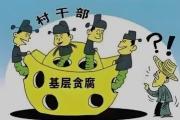 實(shí)踐故事丨守牢村集體“家底子”