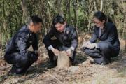 湖北宜昌猇亭區(qū)：開展現(xiàn)場勘查取證等工作