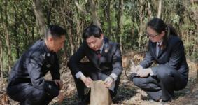 湖北宜昌猇亭區(qū)：開(kāi)展現(xiàn)場(chǎng)勘查取證等工作