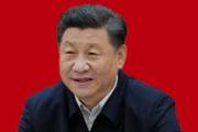 習(xí)近平總書記深情寄望新時代少年兒童