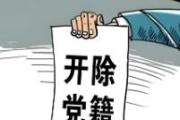 云南臨滄市人力資源和社會保障局原黨組成員、副局長張傳志被開除黨籍