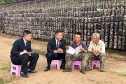 三進”菌地，“黑木耳法庭”呵護鄉(xiāng)村夢想”