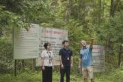 深度關(guān)注 | 綠了山 活了林 富了民