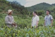 深度關(guān)注 | 減出新氣象 干出精氣神